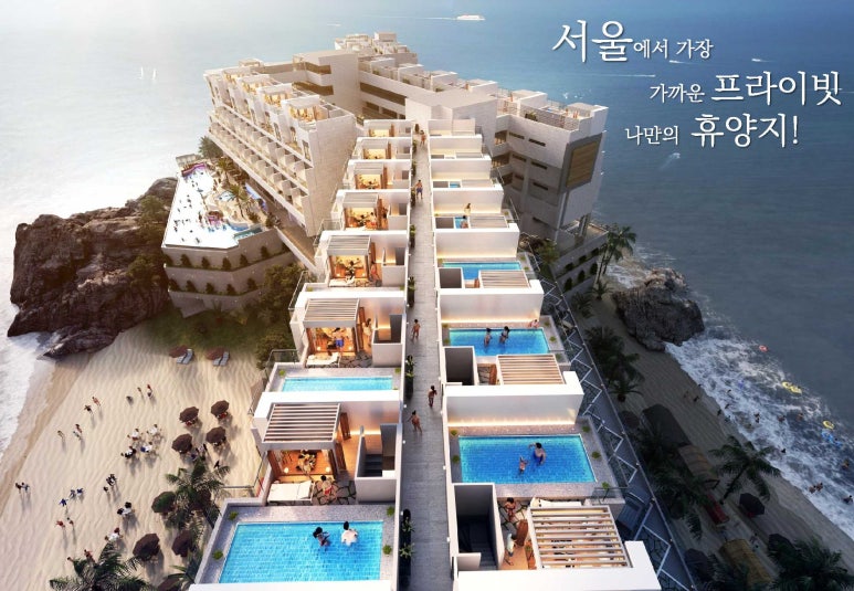 셀파이엔씨 이미지