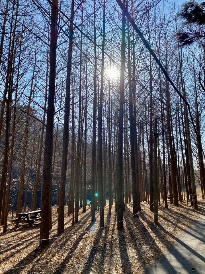 천마수산 이미지