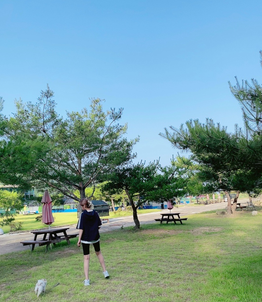 애견카페 포 이미지