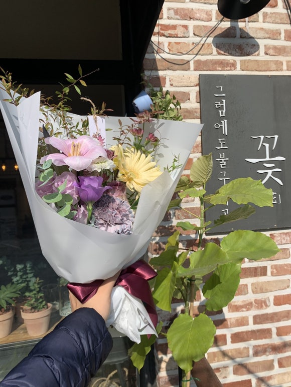 그럼에도불구하고꽃 이미지