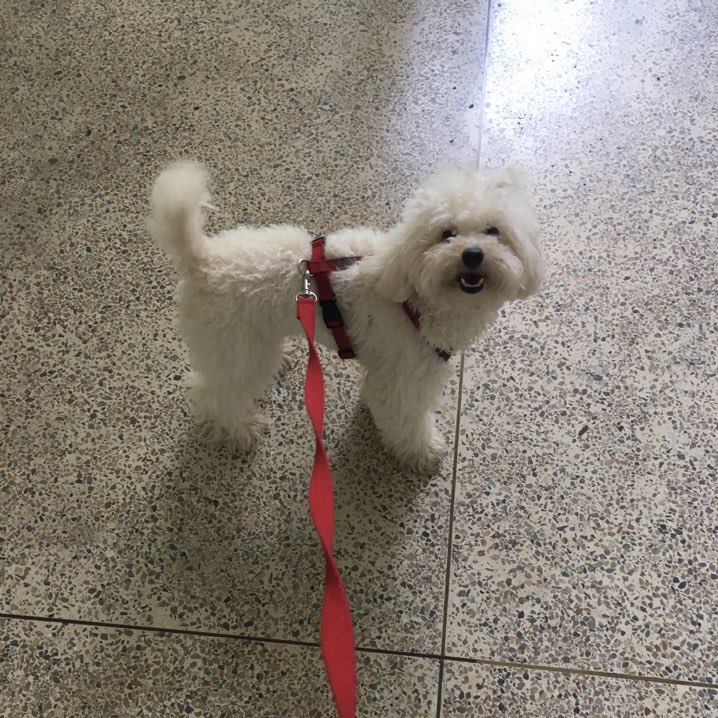 김순돌 이미지