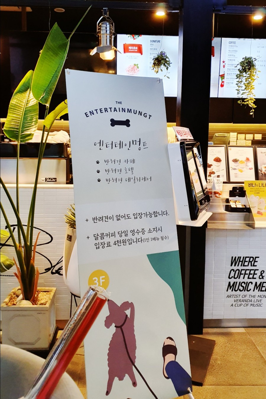 엔터테인멍트 이미지