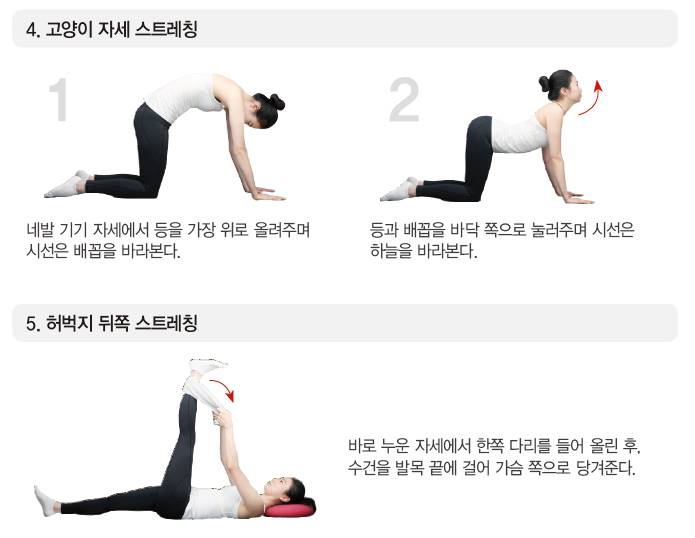 서울척탑병원 이미지