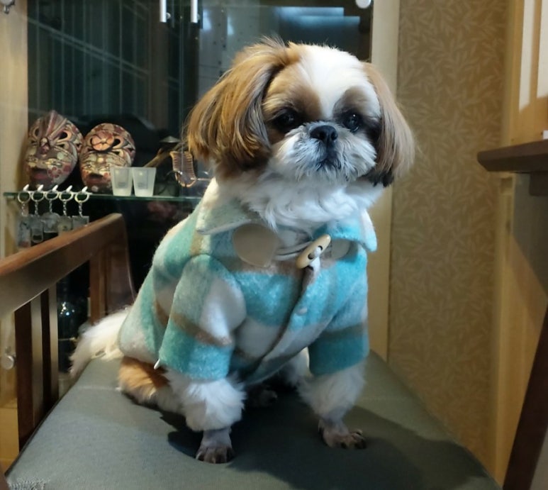천사의옷집 이미지