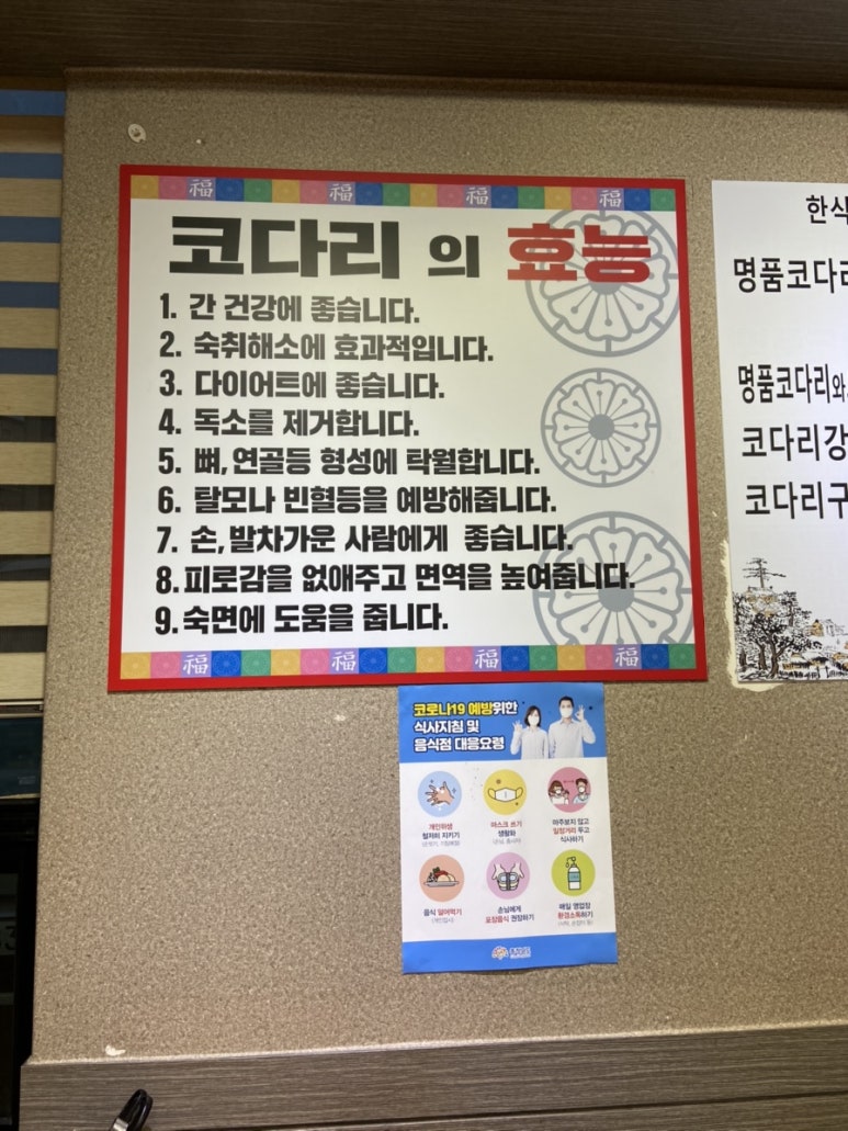 금강코다리 이미지