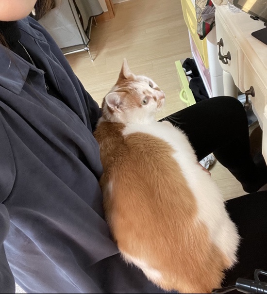 끌로쉬네일 이미지