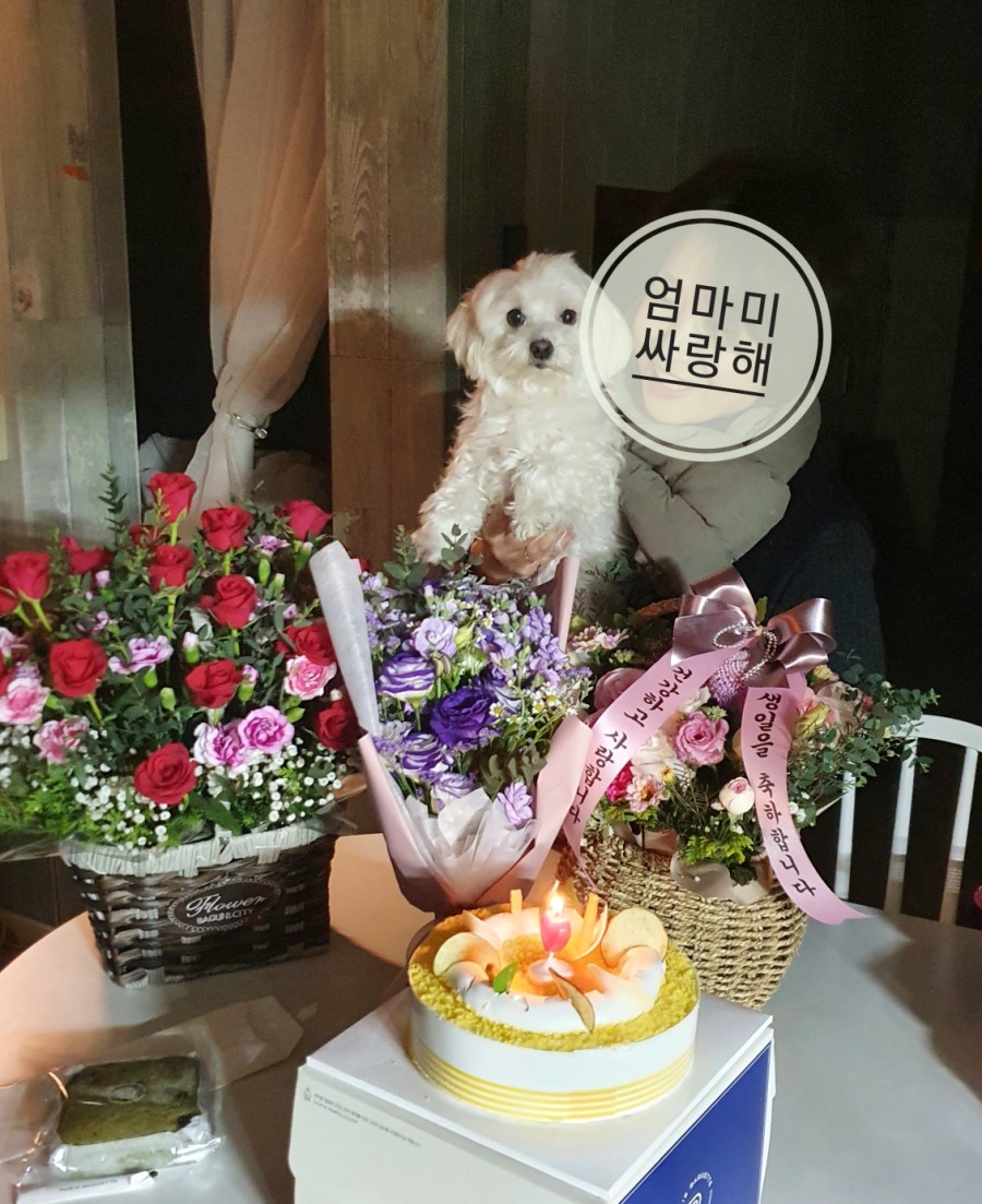 플라워카페손수 이미지