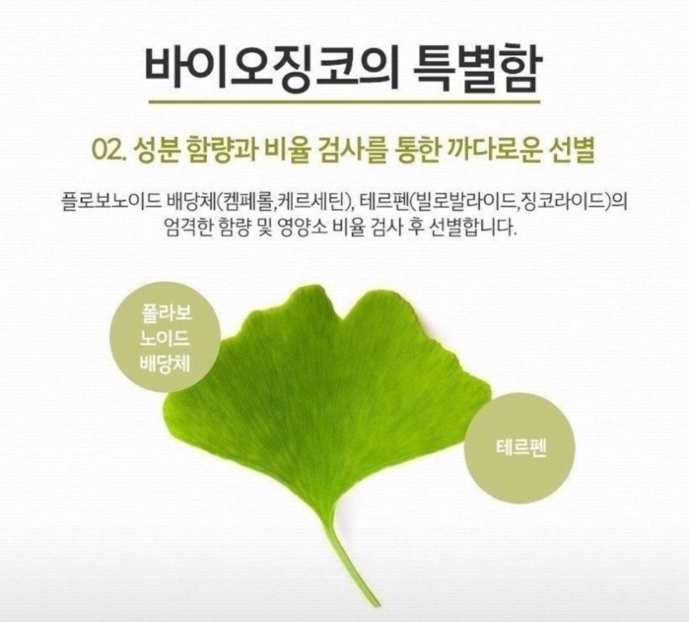 징코바이오 이미지