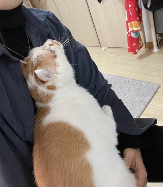 끌로쉬네일 이미지