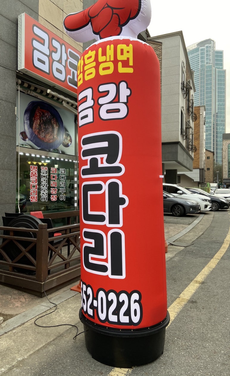 금강코다리 이미지
