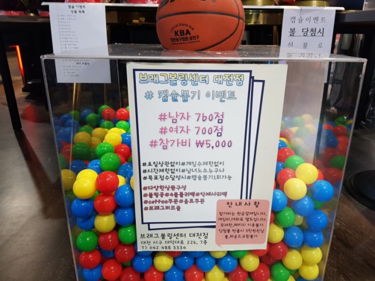 대전브래그 이미지