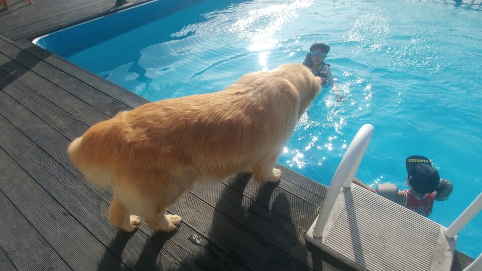 올덴캠핑장 이미지