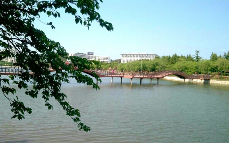 송이앤그루 이미지