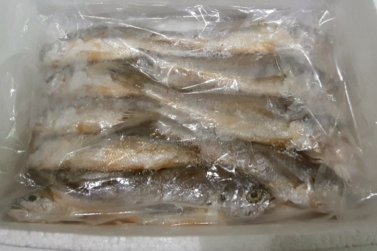 영어조합법인 나림통상 이미지