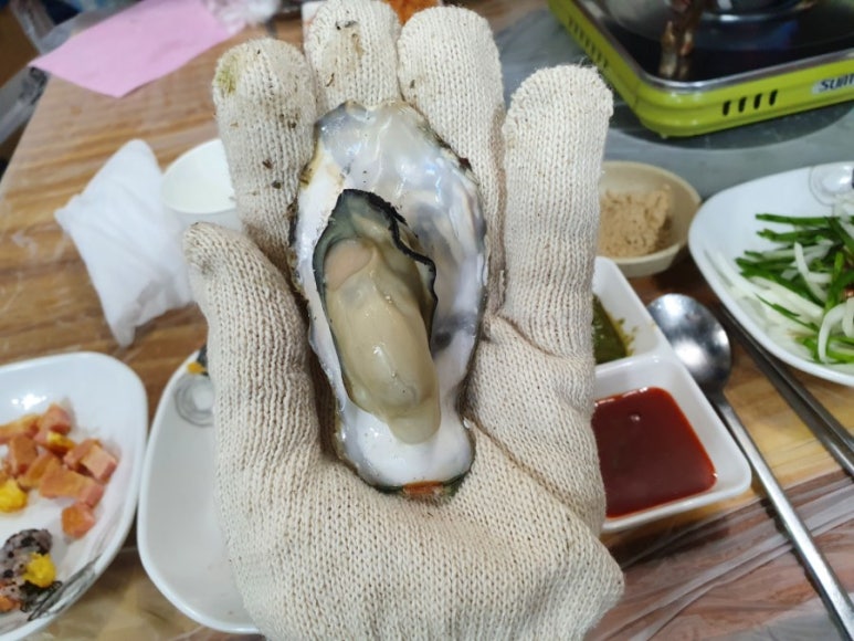영진회센타 이미지