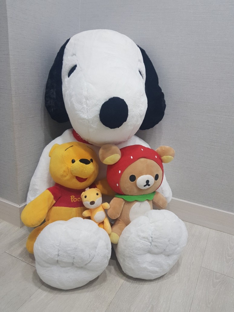 까까쟁이 이미지