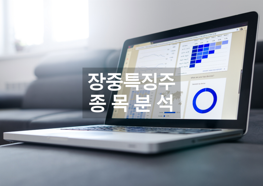 산타하이텍 이미지