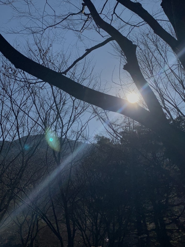 민-캠 이미지