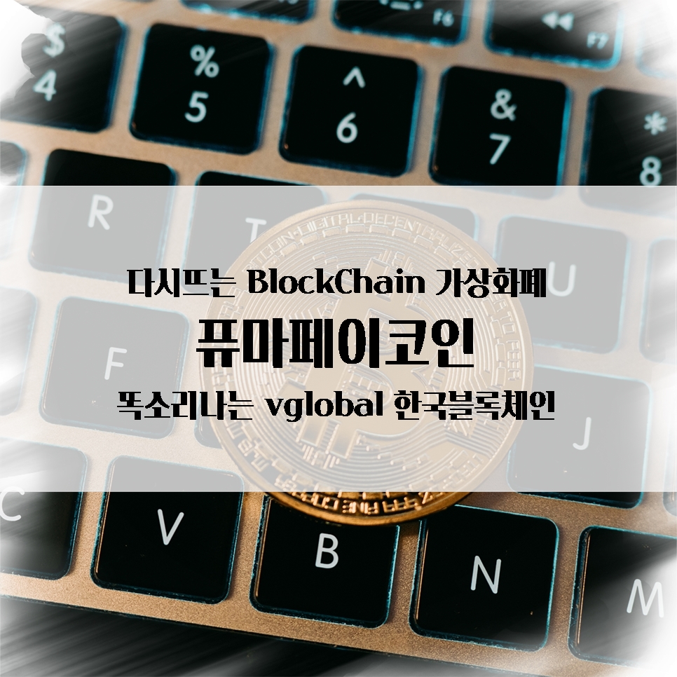 비케이글로벌 이미지