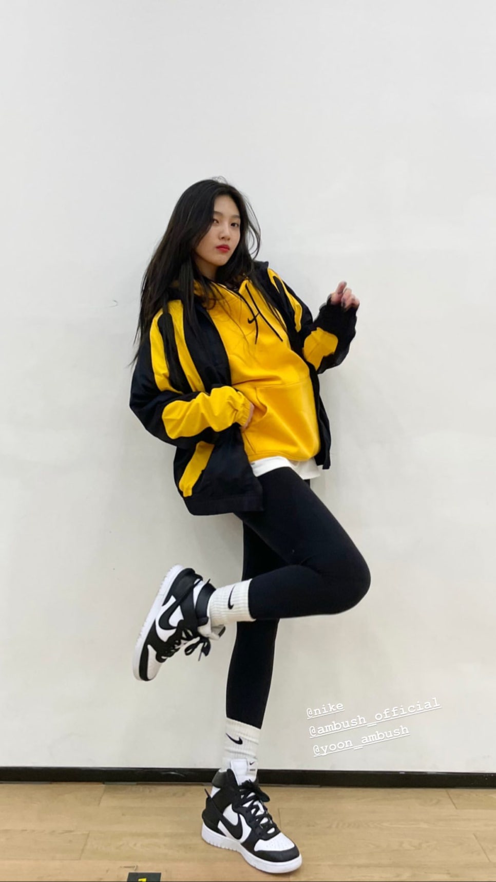 조이트리 이미지