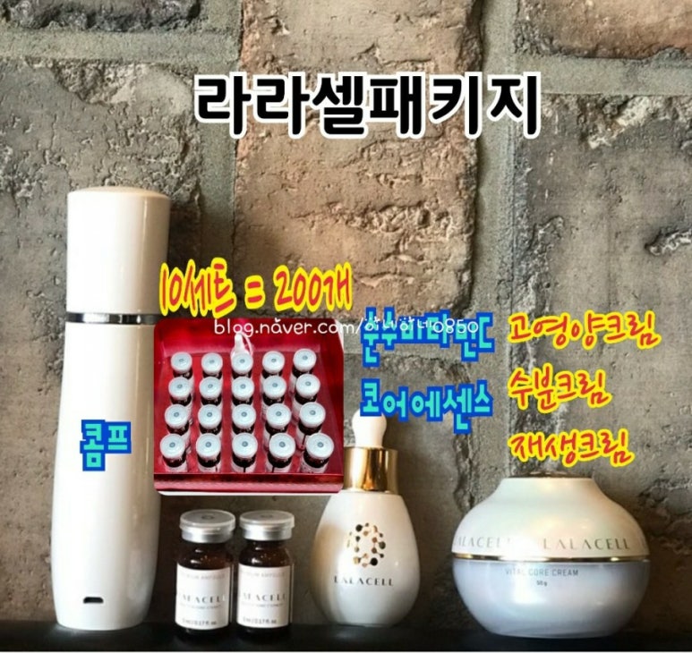 라셀 이미지