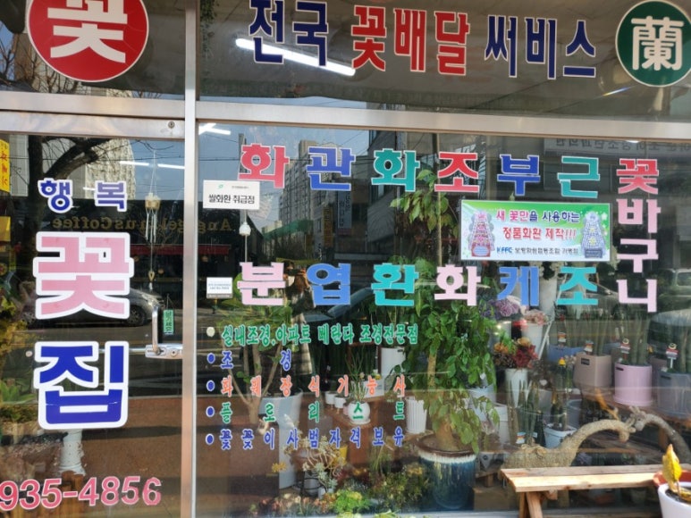 보령화원 이미지