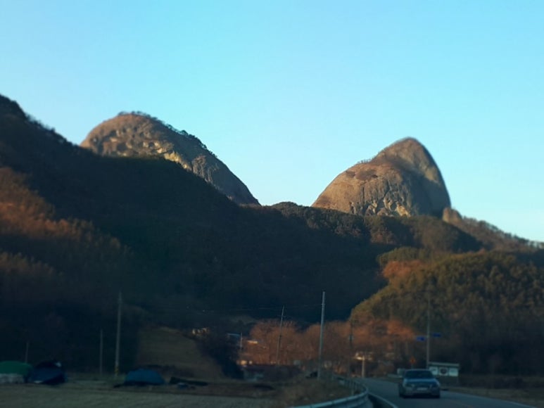 동산유통 이미지