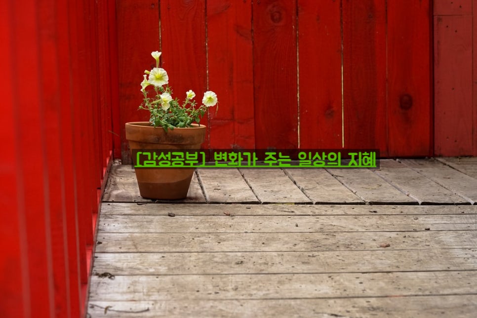 감성과지혜 이미지