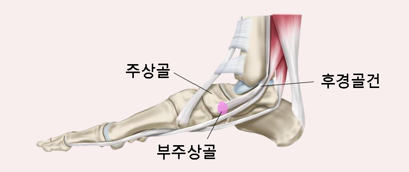 서울S한의원 이미지