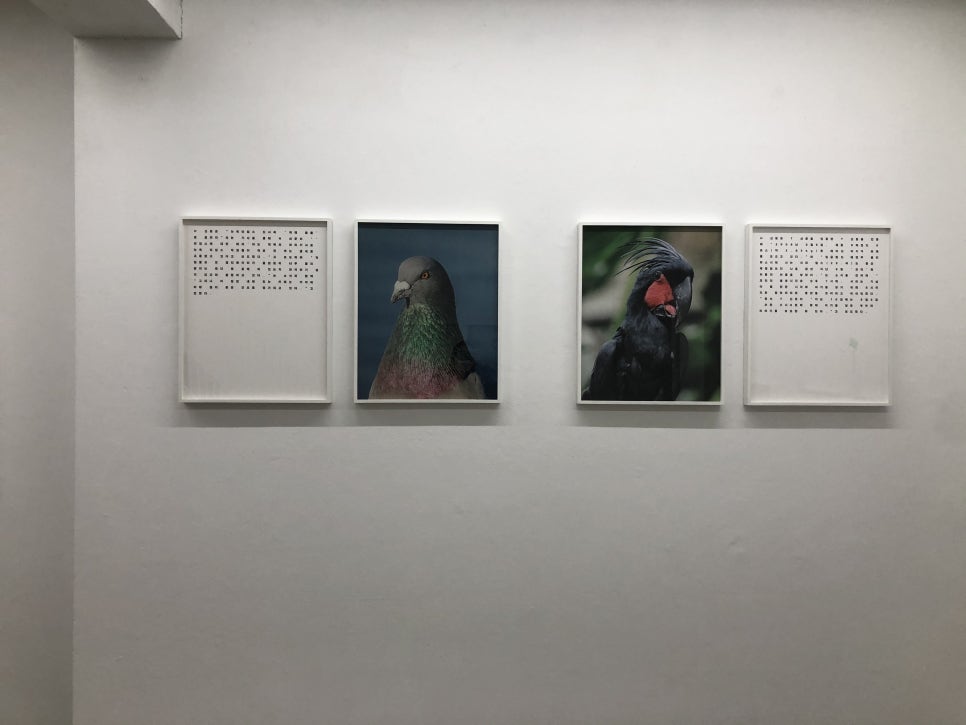 헤적프레스 이미지