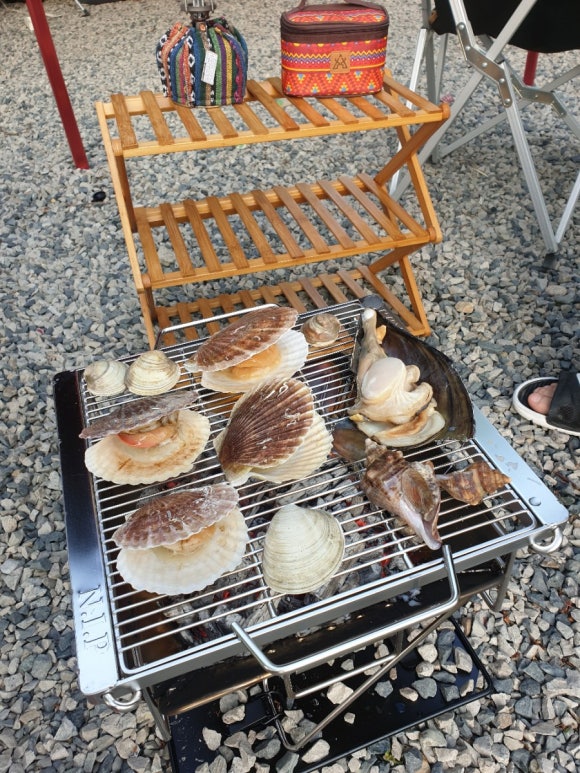 참나무조개구이 이미지