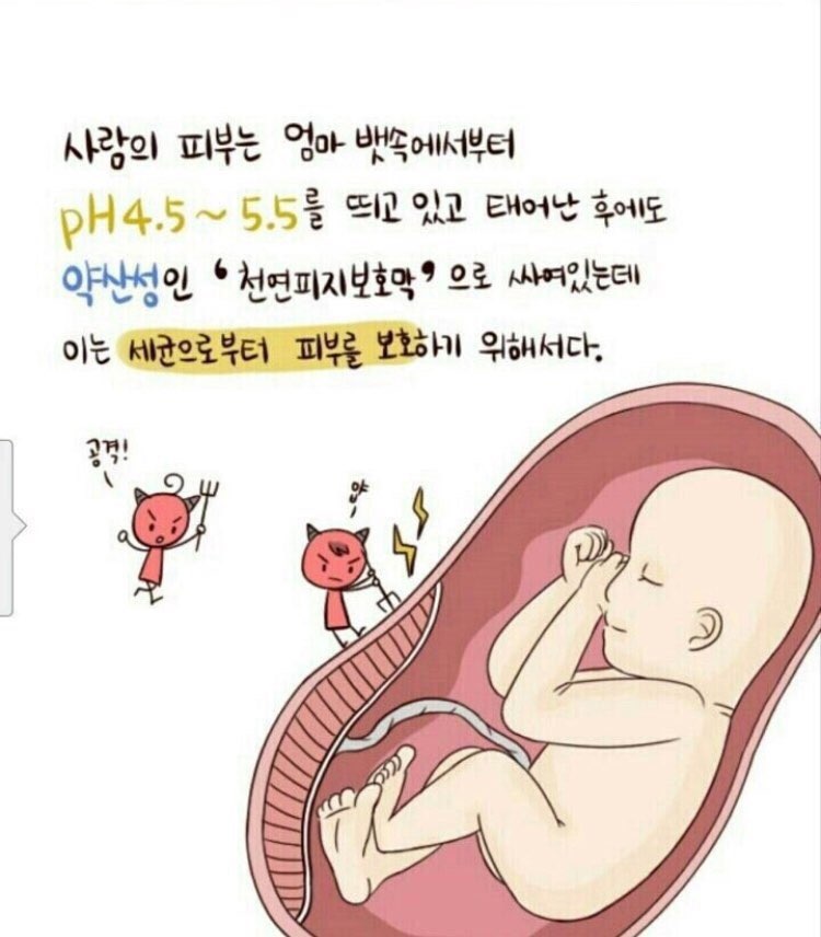언니뷰티 이미지