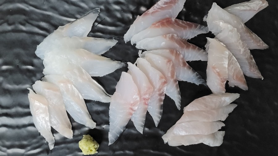 참바다피싱 이미지