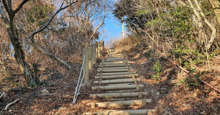 완도주유소 이미지