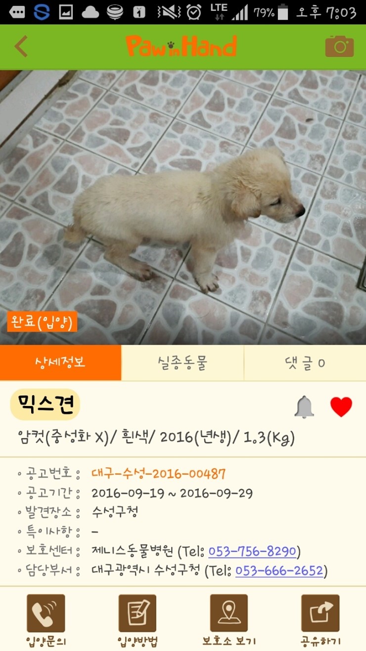 포인핸드 이미지
