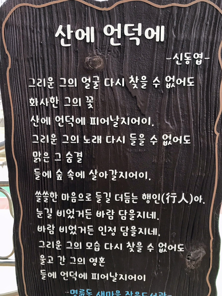 티파니노래연습장 이미지