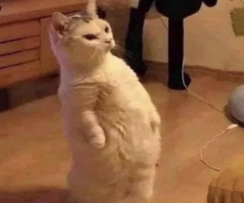 카페어몽 이미지