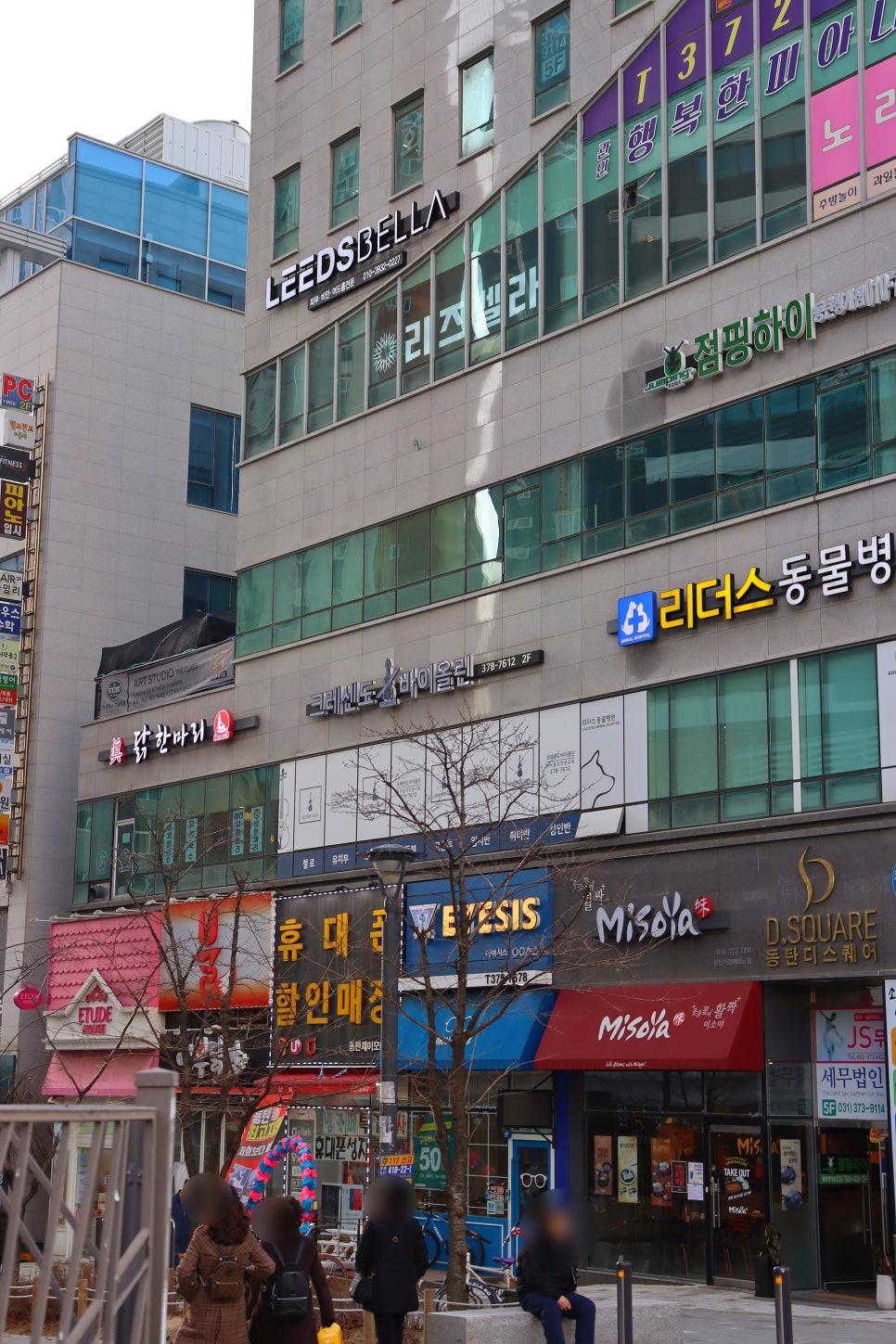 리즈벨라 이미지