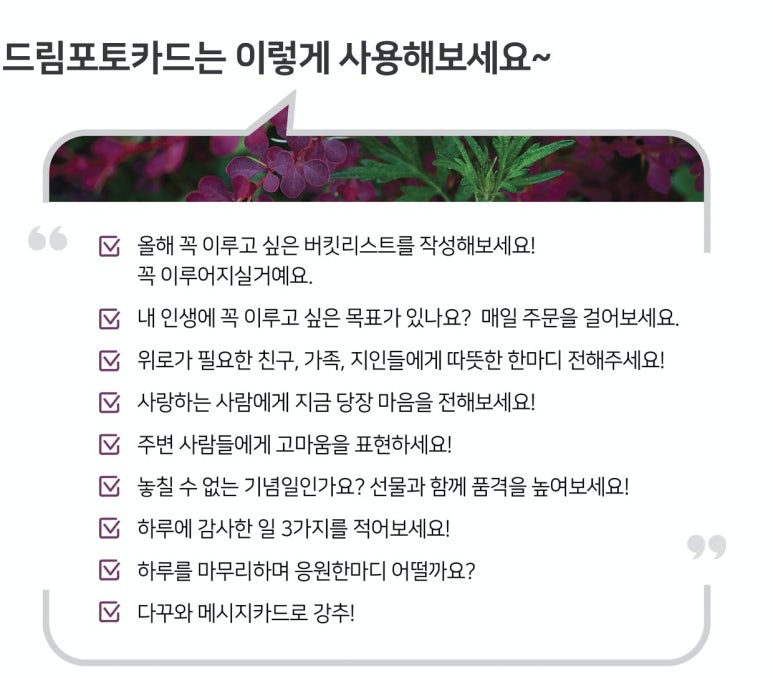멋드림 이미지