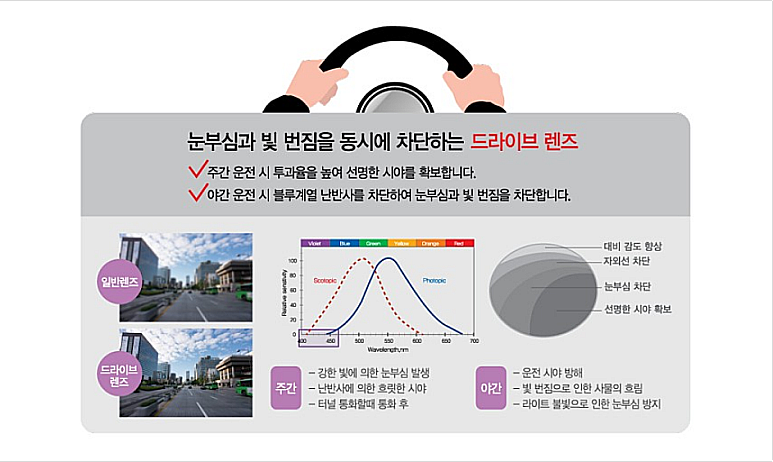 광명드라이브 이미지