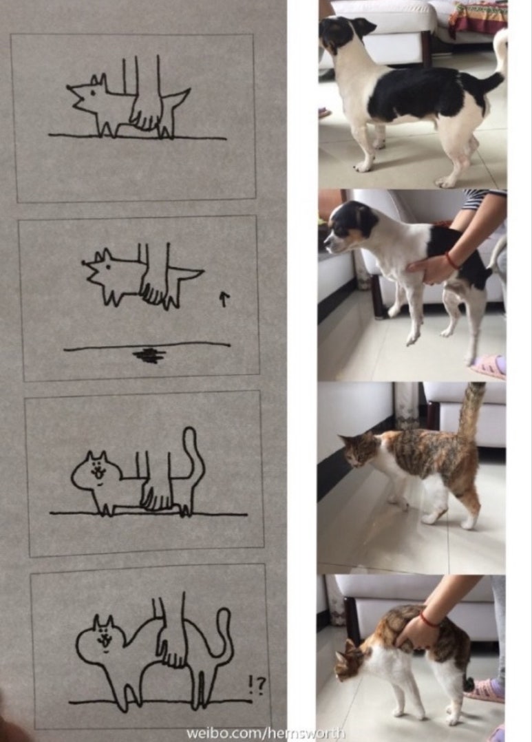 성원칼국수 이미지