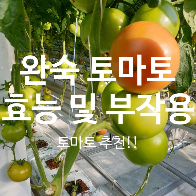 이지푸드영농조합법인 이미지