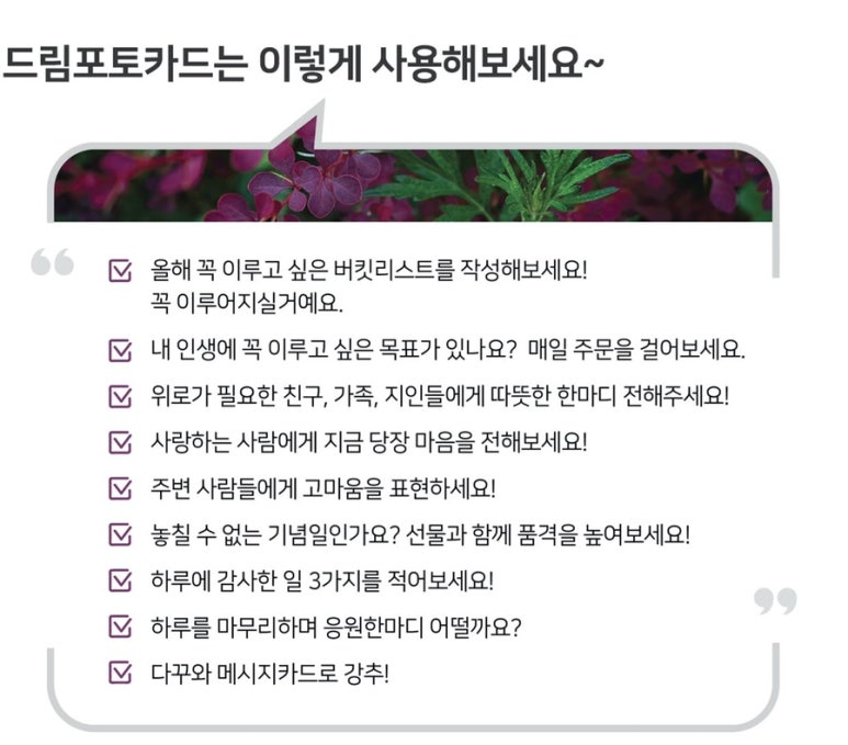 드림포토 이미지
