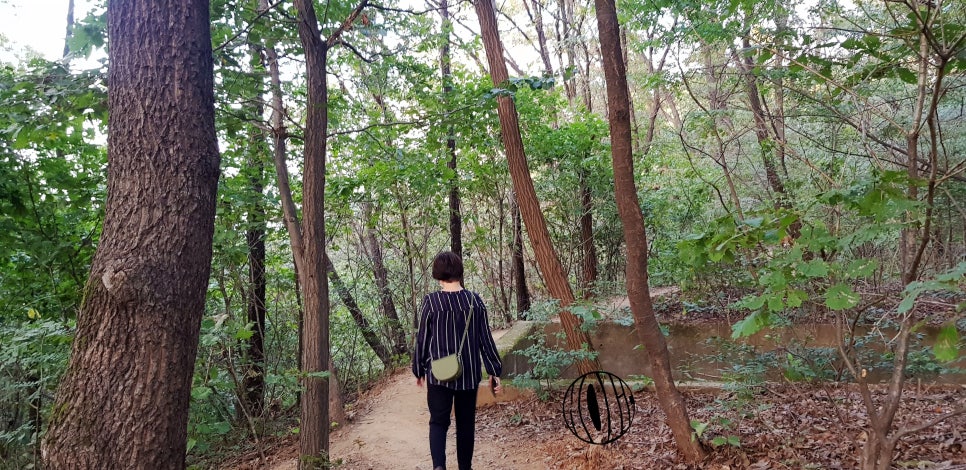한옥혜윰 이미지