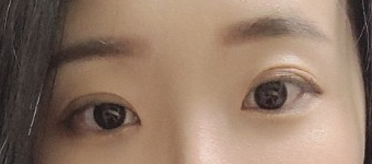 다비래쉬 이미지