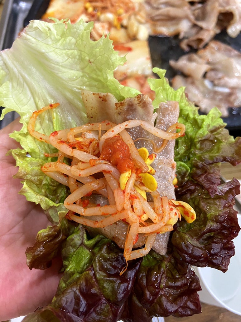 기수백서 이미지
