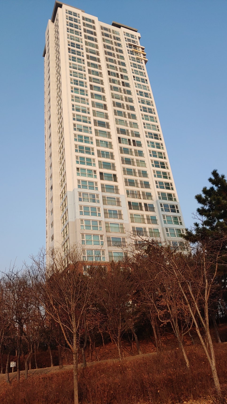 아이코닉솔루션 이미지