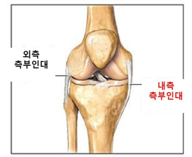 넘버원휘트니스 이미지