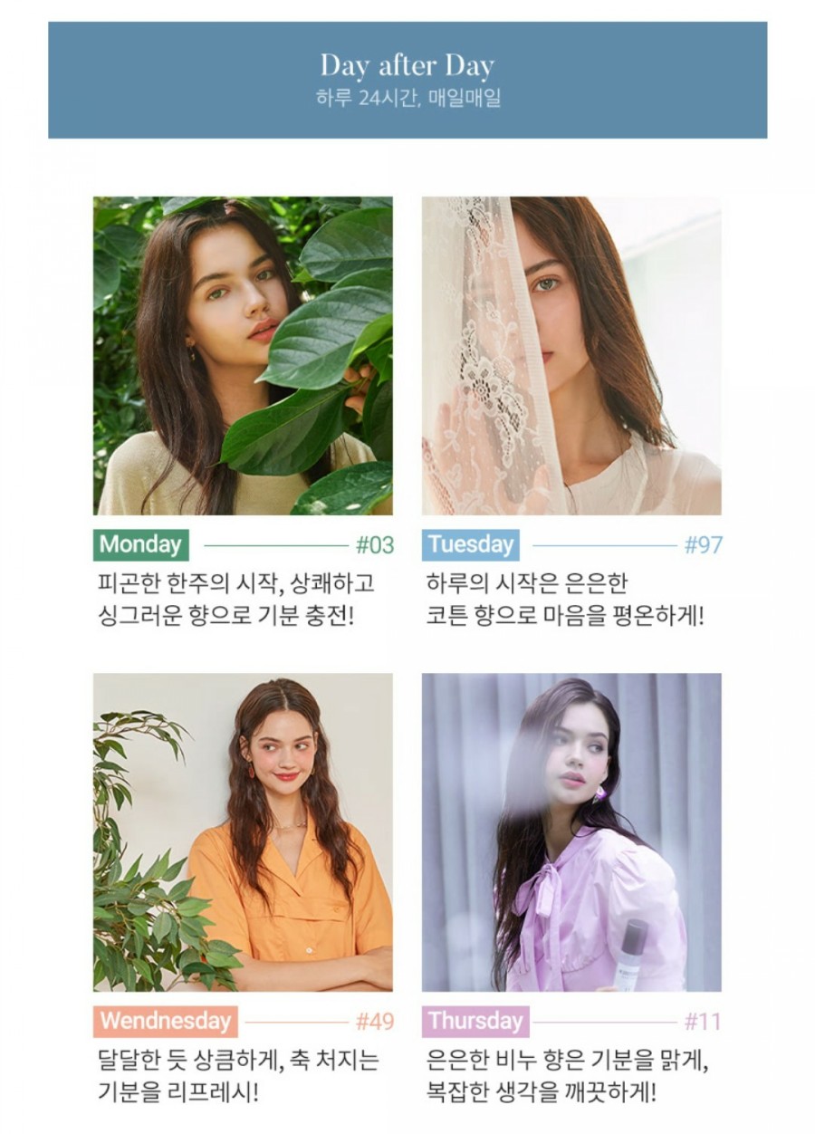디스커버리더블유 이미지