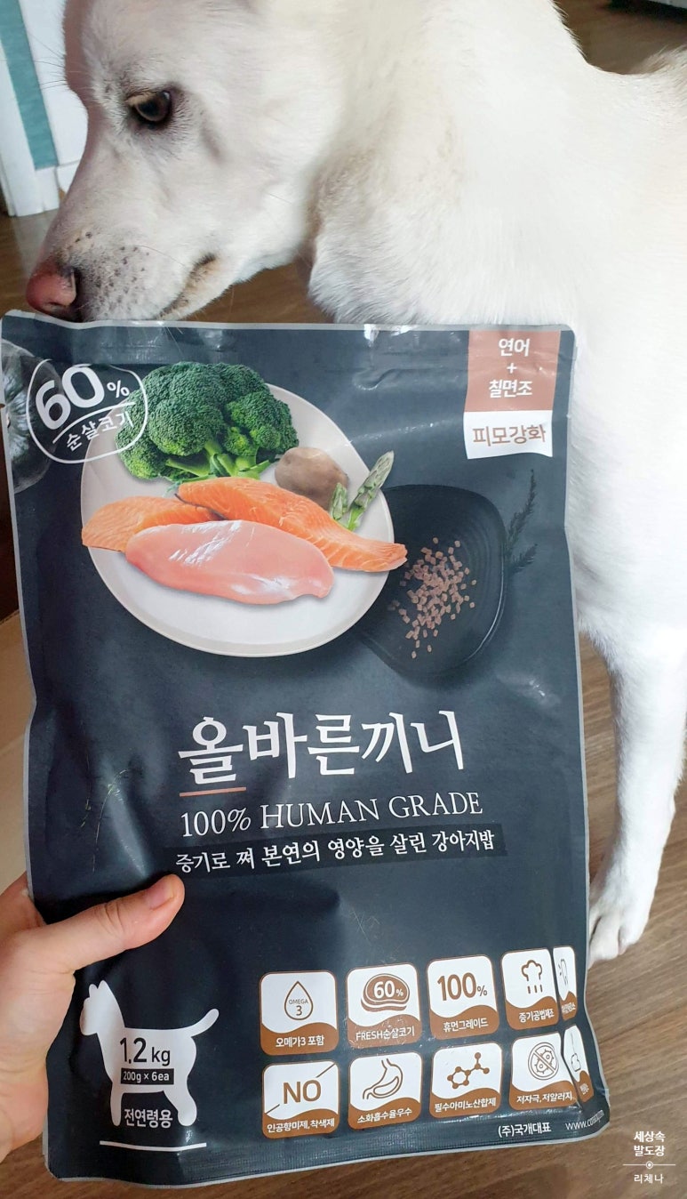쉬리끼니 이미지
